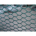 PVC revestido rede de fio hexagonal (1/2 &quot;3/4&quot; 1 &quot;)